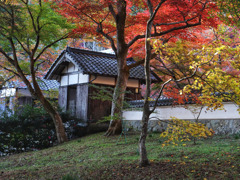円通寺　境内（１）