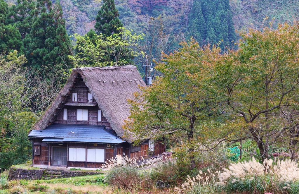 合掌造りの里