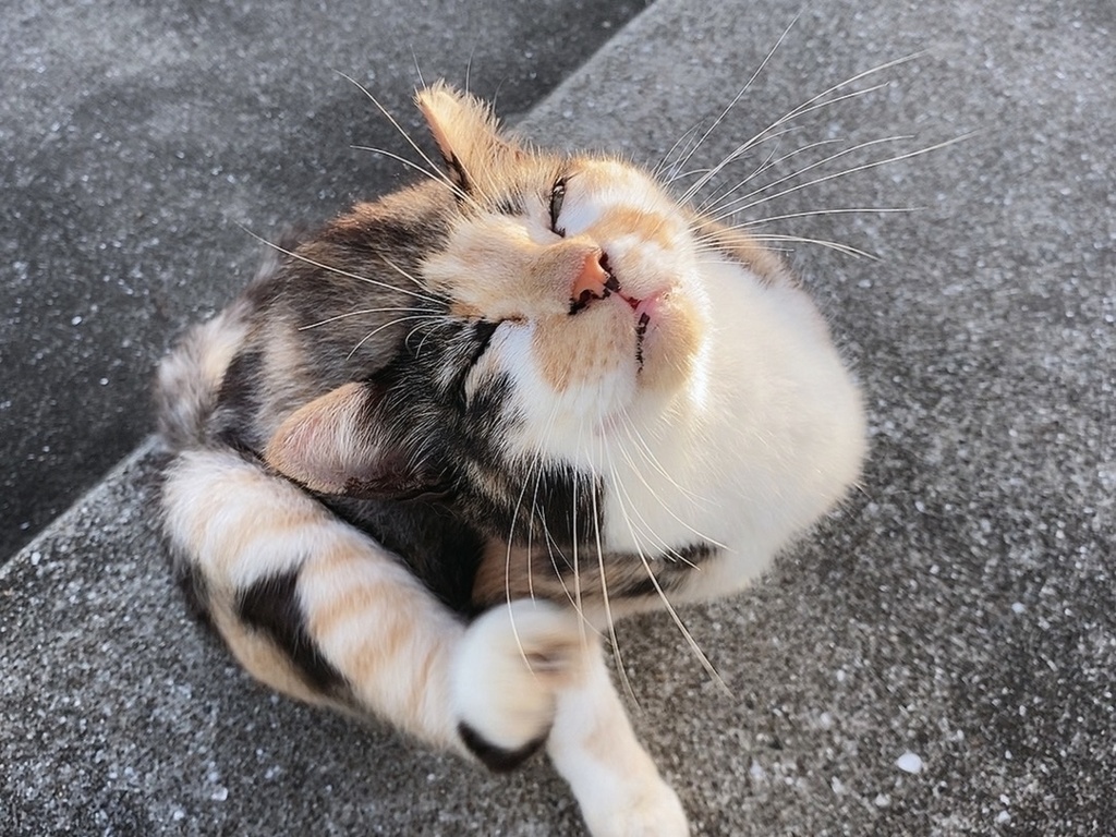 恍惚