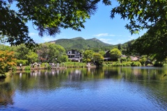 湯布院　金鱗湖①