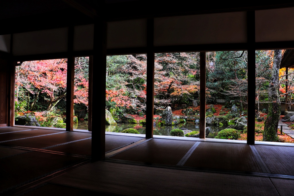 蓮花寺(１)