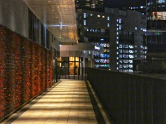 師走のうめきた