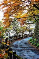 秋の散策路