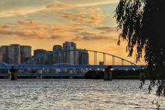 淀川夕景