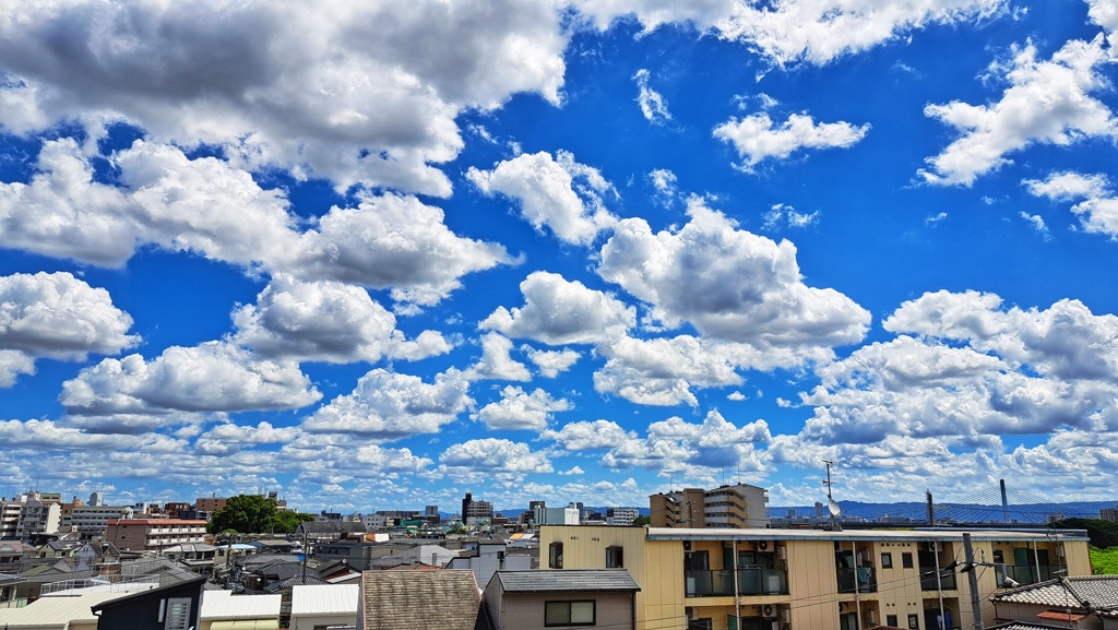 散りばめられた雲