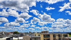 散りばめられた雲