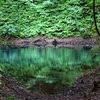 白神山地　十二湖を巡る
