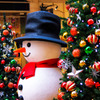 I wish you a merry christmas !