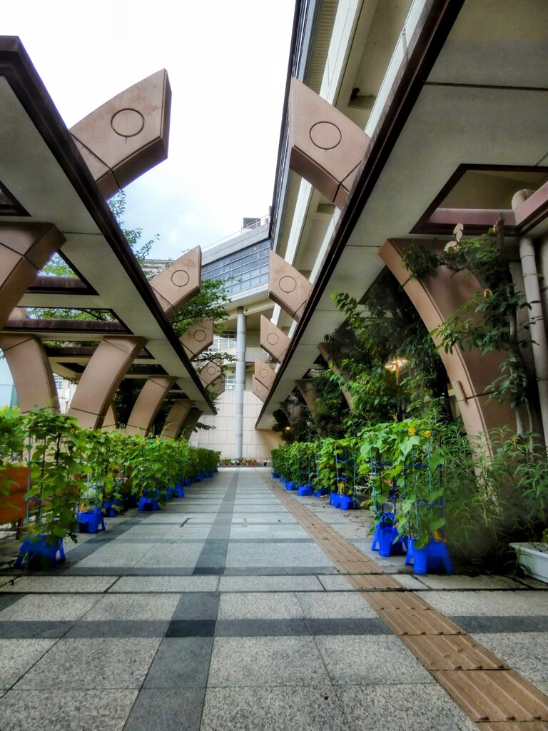 京都の小学校