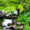 公園の清流