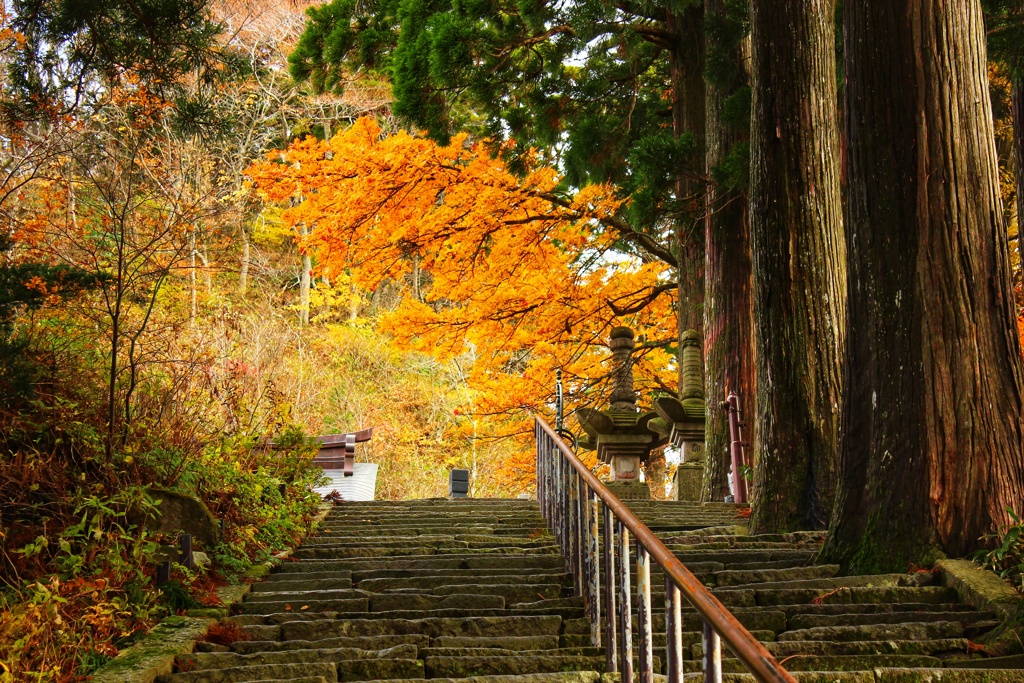 大山寺の秋