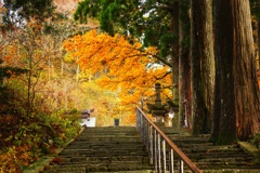 大山寺の秋