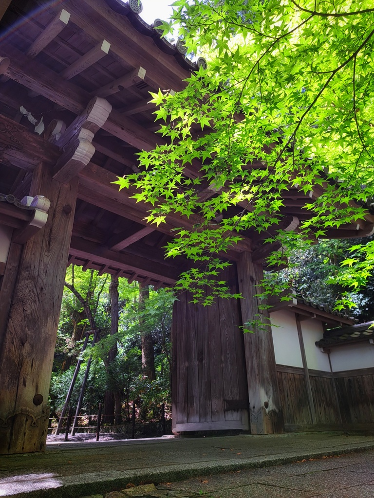 光明寺