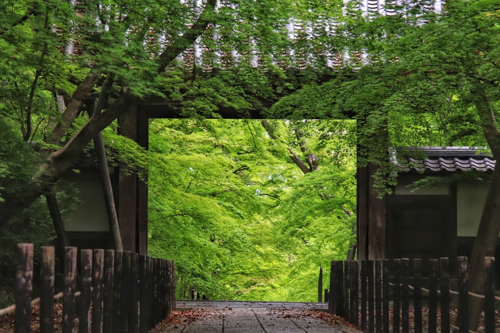 光明寺　薬医門（２）