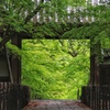 光明寺　薬医門（２）