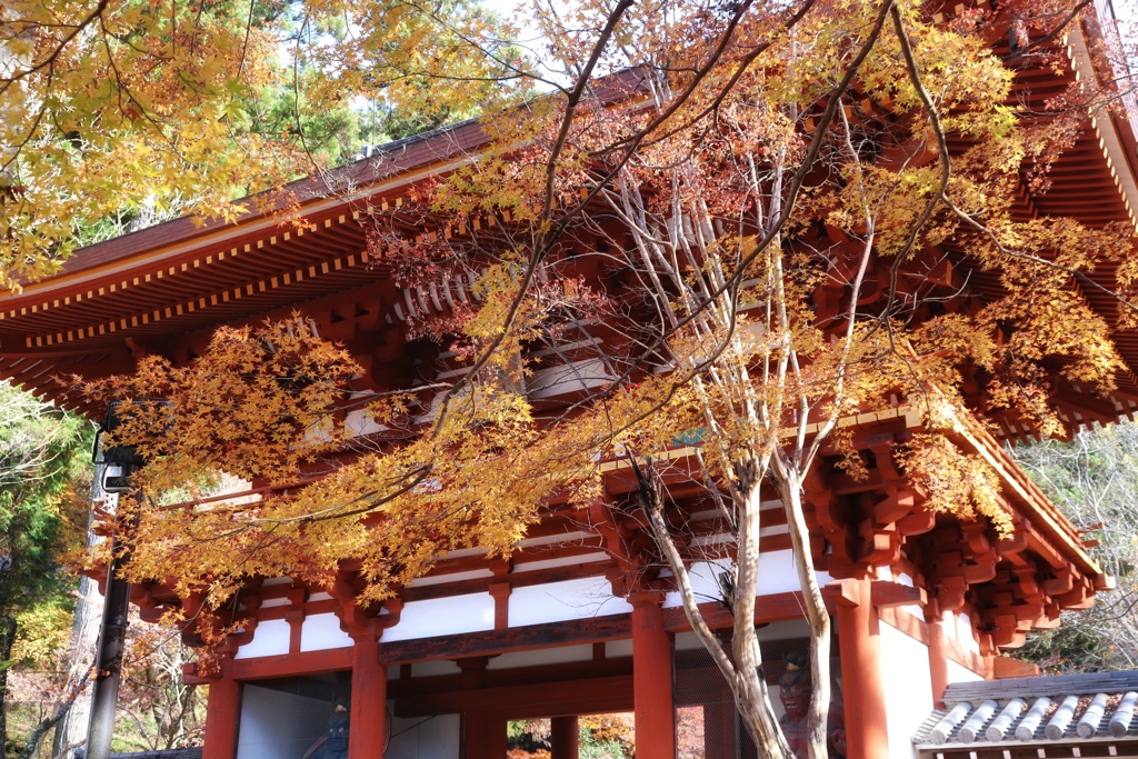 室生寺　山門（仁王門）