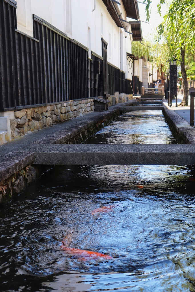 水と暮らす町