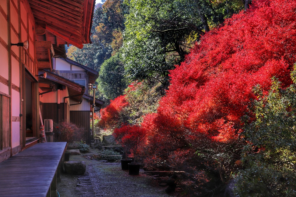 安国寺　舞台裏