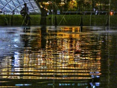 うめきた公園にて