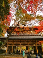 永源寺　山門