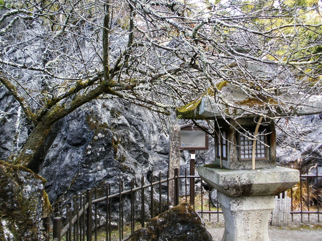 まるで雪景色