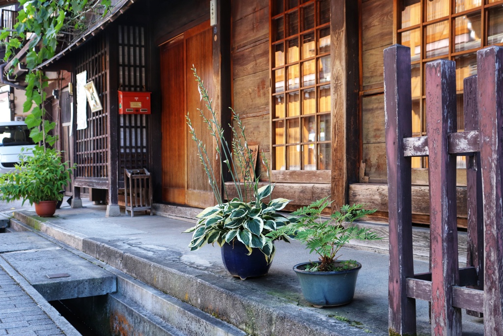 軒先の鉢植え