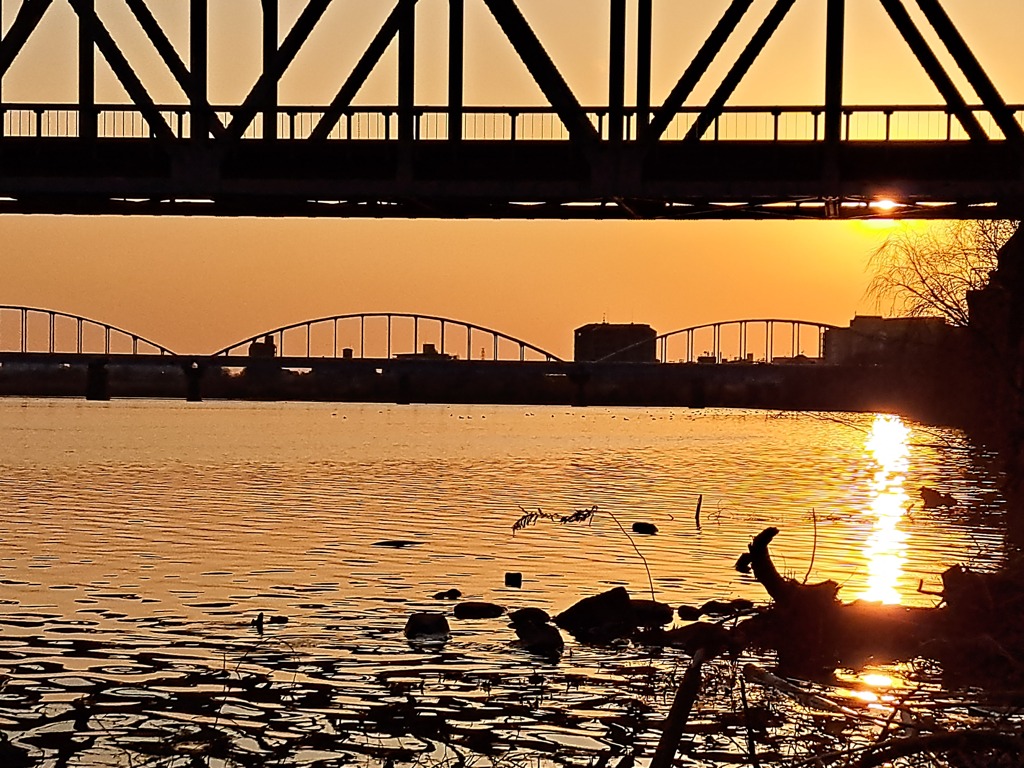 淀川夕景