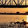 淀川夕景