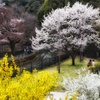 二人のための春