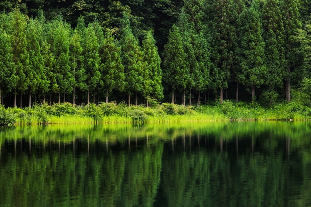 映り込み