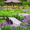 城北菖蒲園