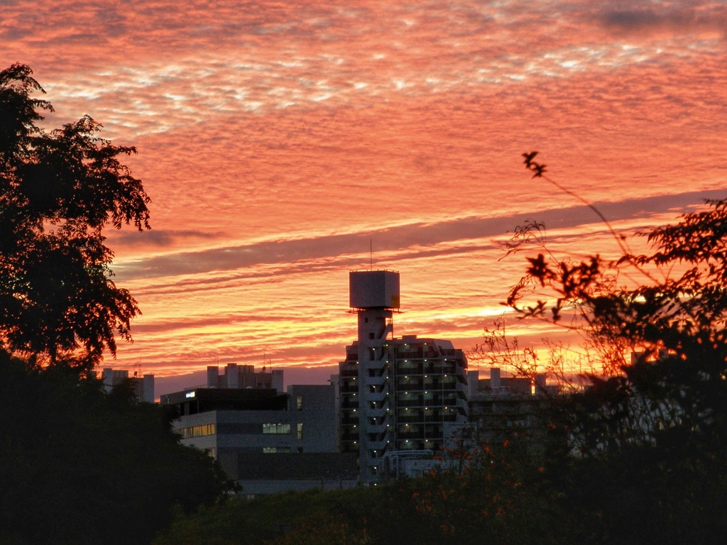 10月11日の夕空（続）