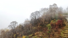 雲の中でやっと見えてきた