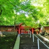 神社の青もみじ