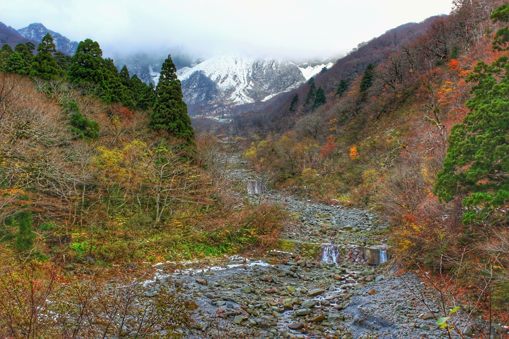 大山の秋（過去画像）