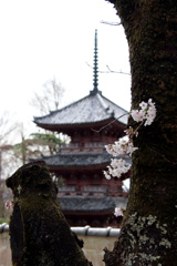 宝積寺　三重塔