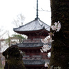 宝積寺　三重塔