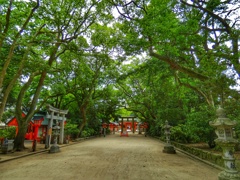 住吉神社①