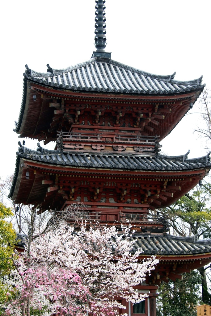 宝積寺　三重の塔