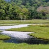 尾瀬を歩く（５）