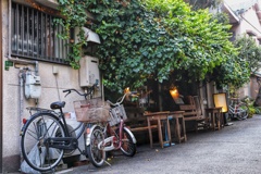緑溢れるカフェ