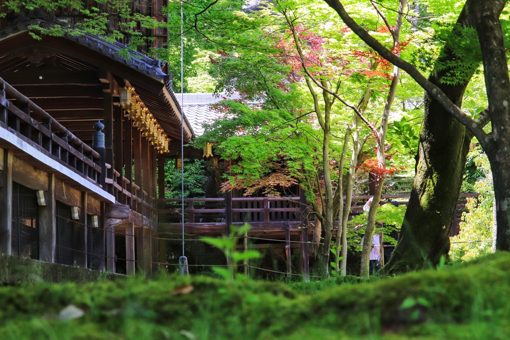 光明寺