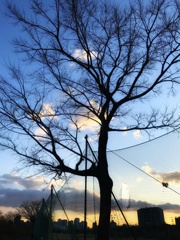 冬の夕暮れ