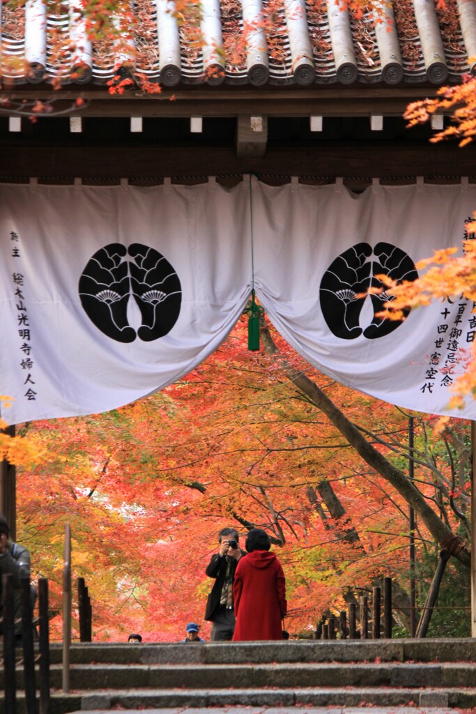 綺麗に撮ってよ