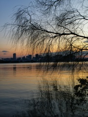 淀川夕景