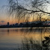 淀川夕景