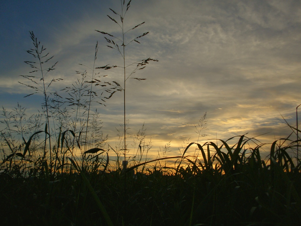 初秋の夕暮れ