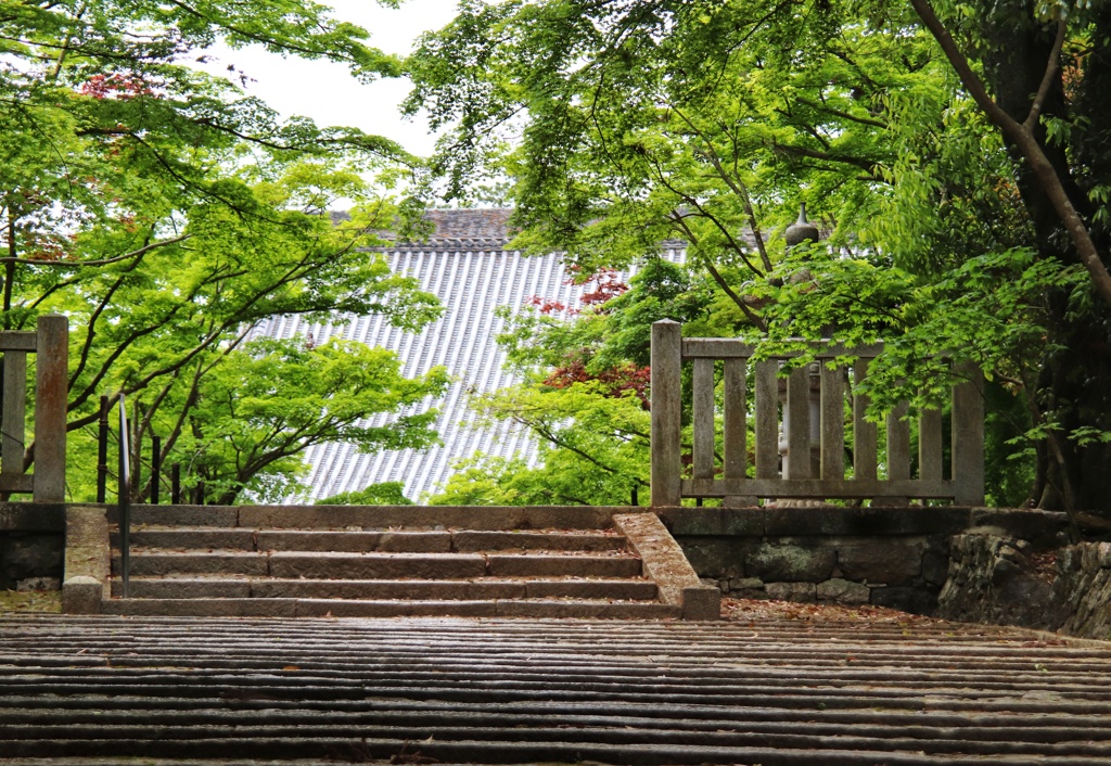 御影堂の屋根