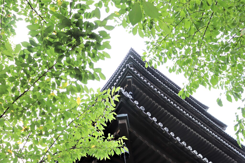 五重塔