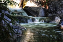 公園のせせらぎ